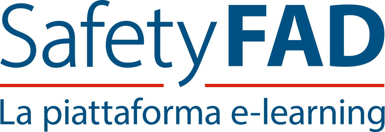 V.SAFE SRL